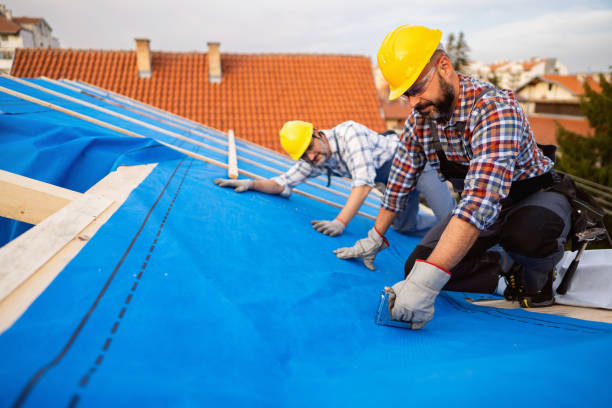 Steel Roofing in Hot Springs, AR